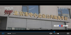 少妇扒开腿让我爽了一夜